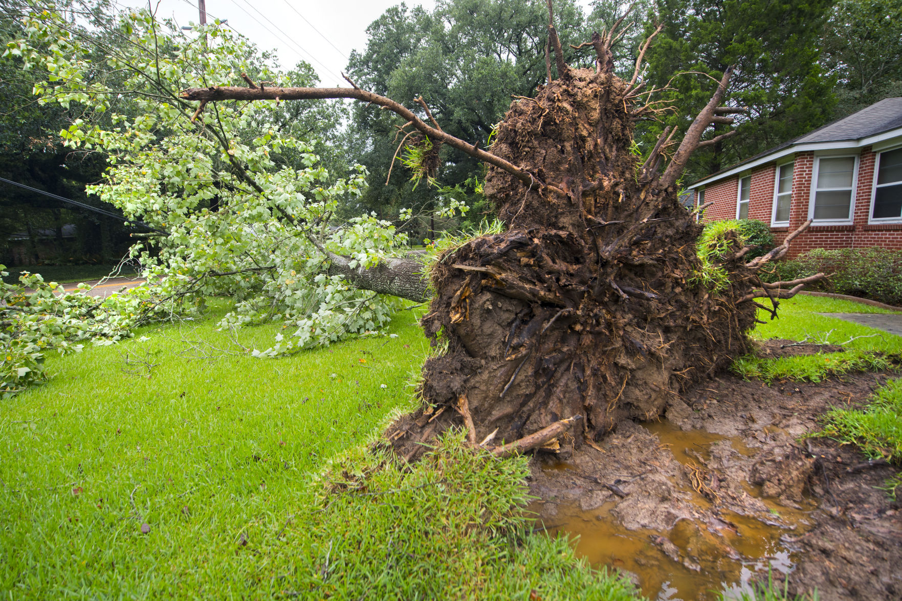 BR.barryaftermath.071619 TS 639.jpg